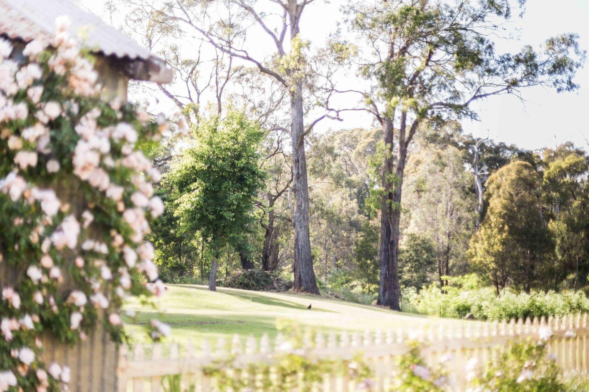 Berrima Bakehouse Motel 외부 사진